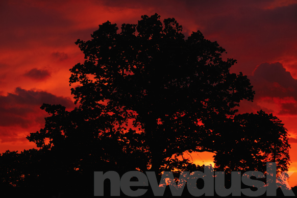 irish sunset